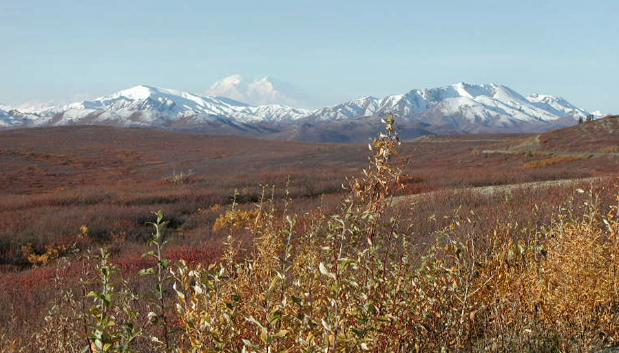 denali_composite_1k.jpg