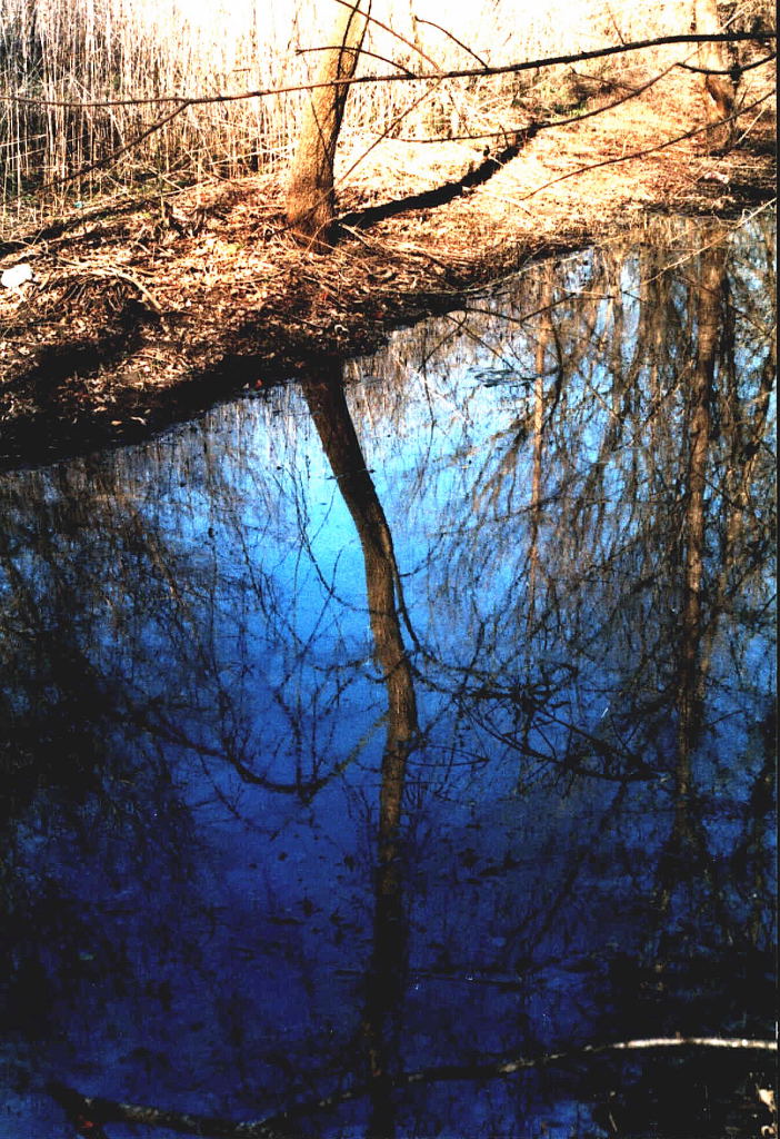 reflections_blue_19.jpg