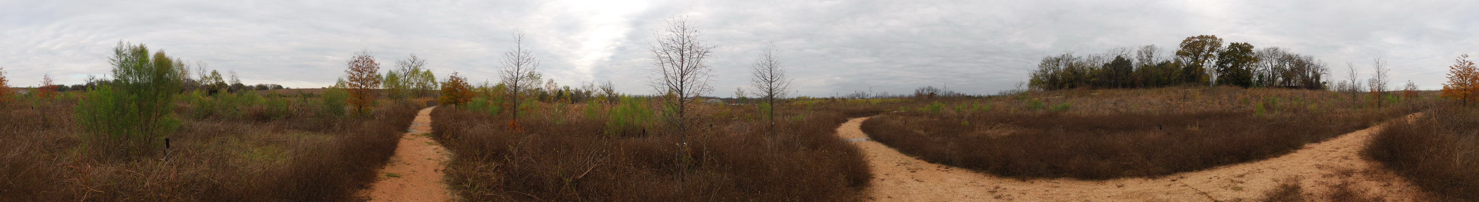 west_of_cattail_pond_static.jpg